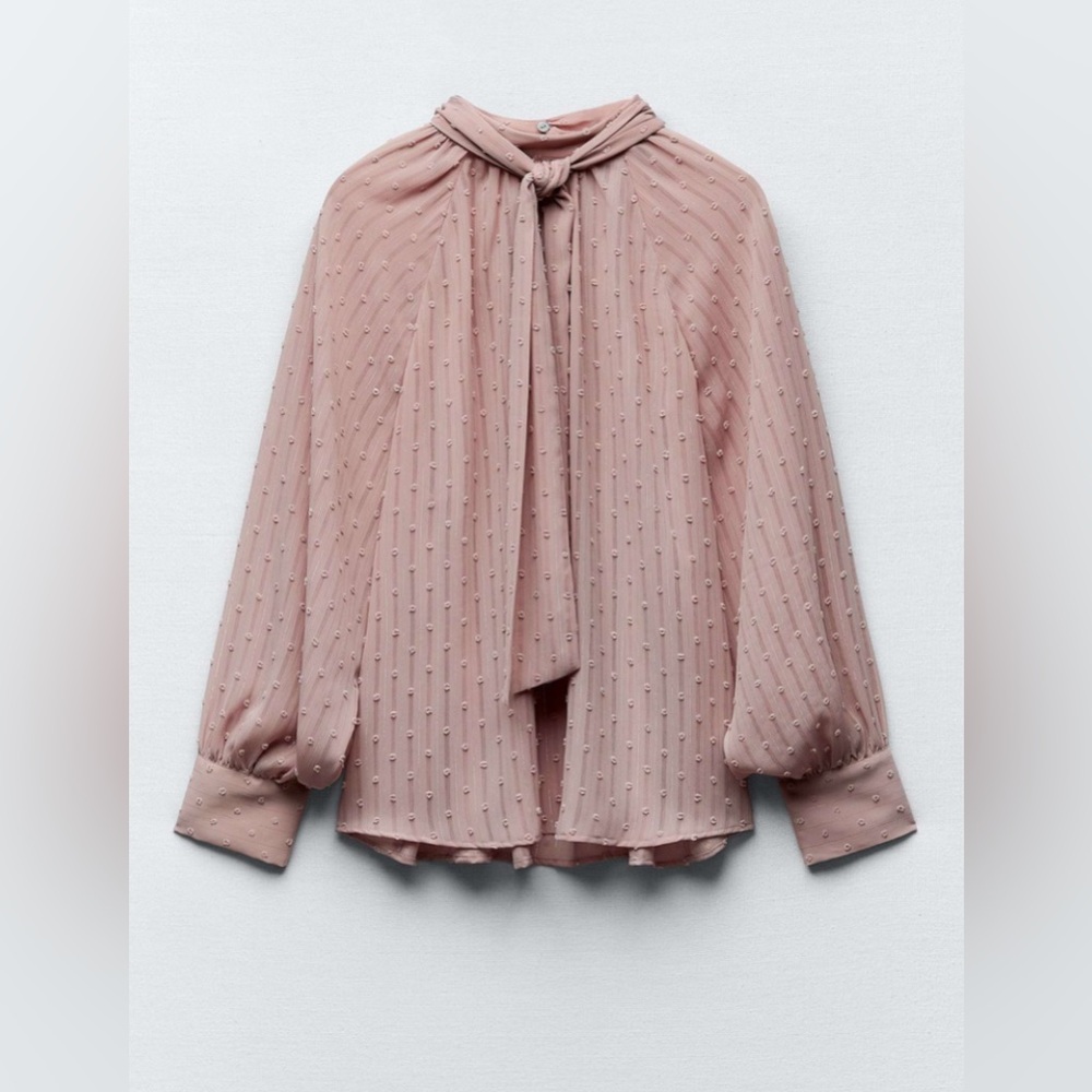 Zara tied dotted mesh blouse 2216/862